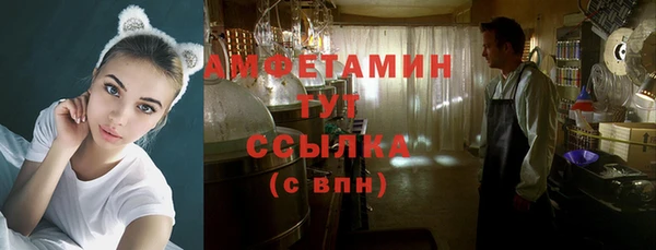 крисы Баксан