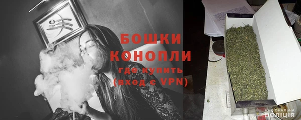 крисы Баксан