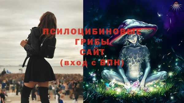 круглые Аркадак