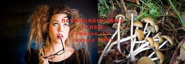круглые Аркадак